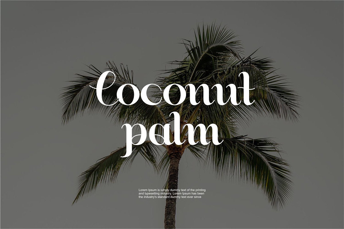 Buchery | Script Fonts | Food Fonts, a Script Font by WhymoreArt (Photo 7 of 11)