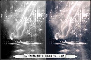 Darkroom Toners - Selenium Split