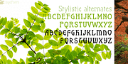 Maier's Nr. 21 Pro, a Handwritten Font by ingoFonts (Thumbnail 7 of 10)