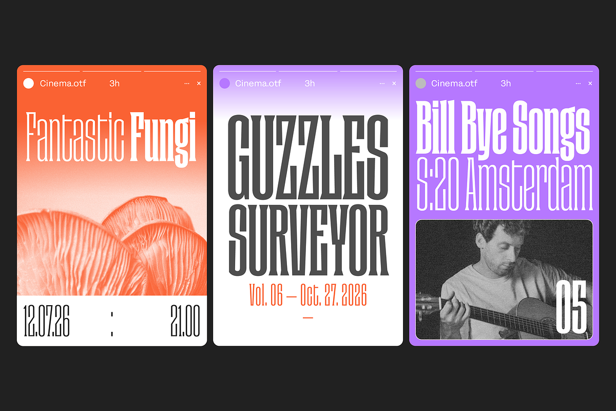 Cinema - Family 30% off, a Serif Font by Los Andes Type (Photo 9 of 10)