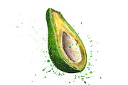 Hand-drawn watercolor Avocado, a Food Illustration by Margo Miller (Thumbnail 9 of 12)