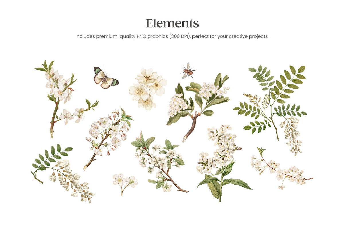 Gentle Spring with White Flowers, a Pattern Graphic by Yello_illustration (Photo 5 of 16)