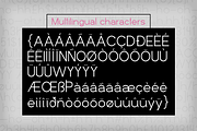 Francis Grotesk, a Sans Serif Font by Quothron (Thumbnail 5 of 5)