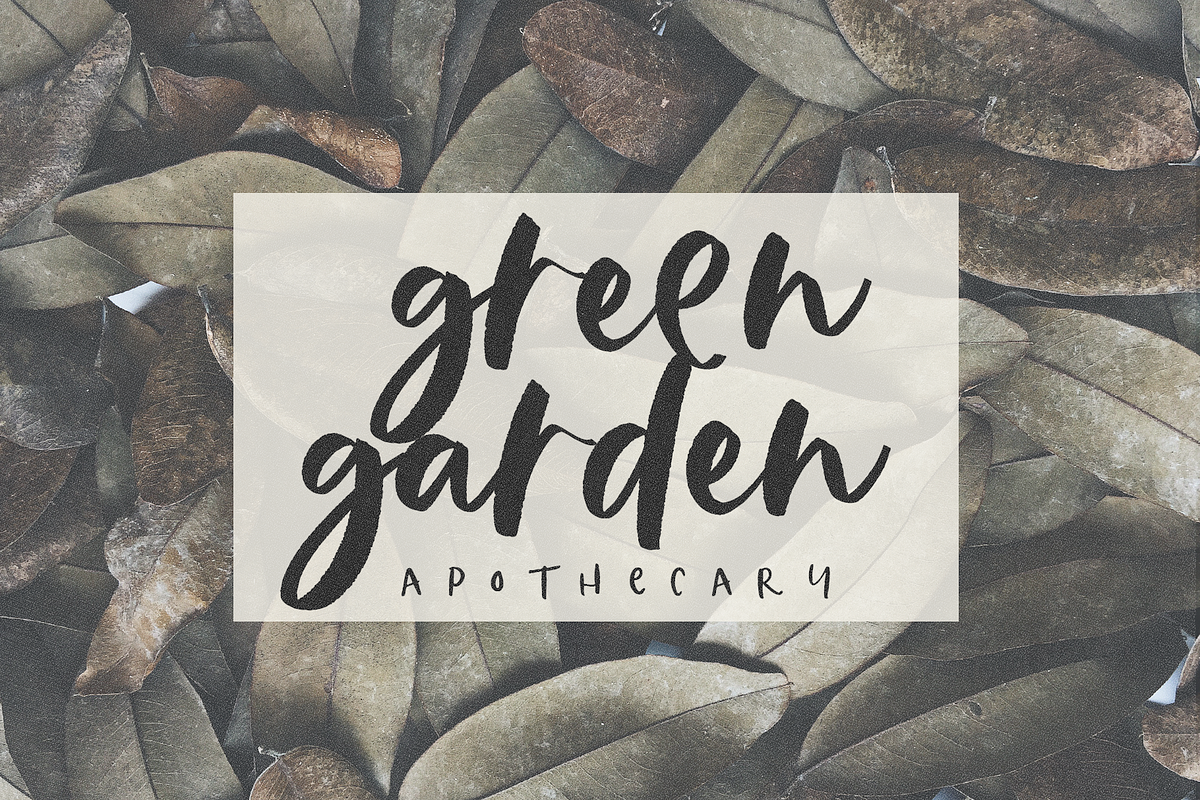 The Coast | Script Font with Extras preview 6
