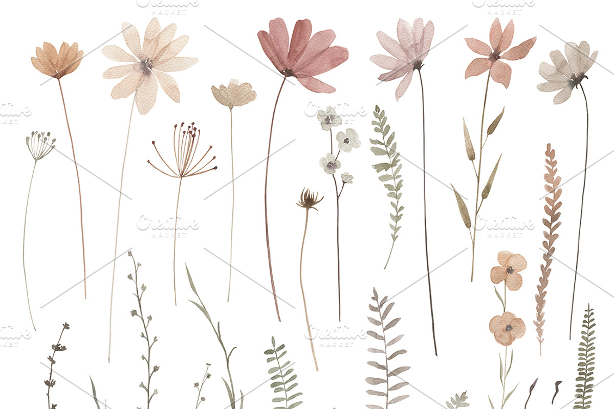 Autumn Wildflower Collection, an Illustration by Natikka Art (Photo 2 of 3)