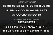 Light Heavy, a Script Font by FreshTypeINK (Thumbnail 4 of 8)