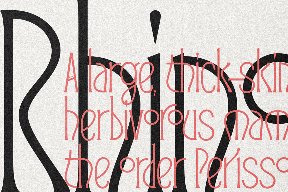 Reina Sofia - Vintage Display Serif, a Serif Font by SilverStag Type Foundry (Photo 26 of 30)