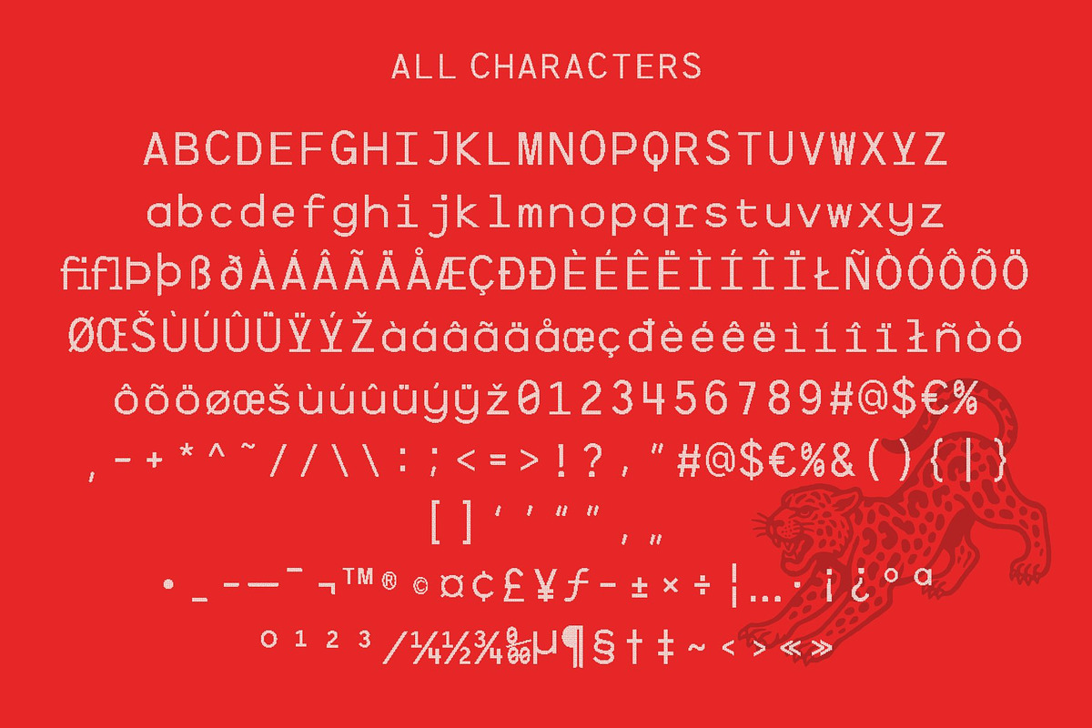 CS Barney Mono Disco, a Sans Serif Font by Craft Supply Co. (Photo 8 of 8)