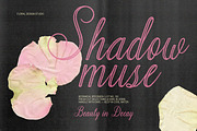 Adore Studio Romantic Font Duo, a Script Font by AnMark (Thumbnail 3 of 14)