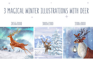 Set With Winter Illustrarions