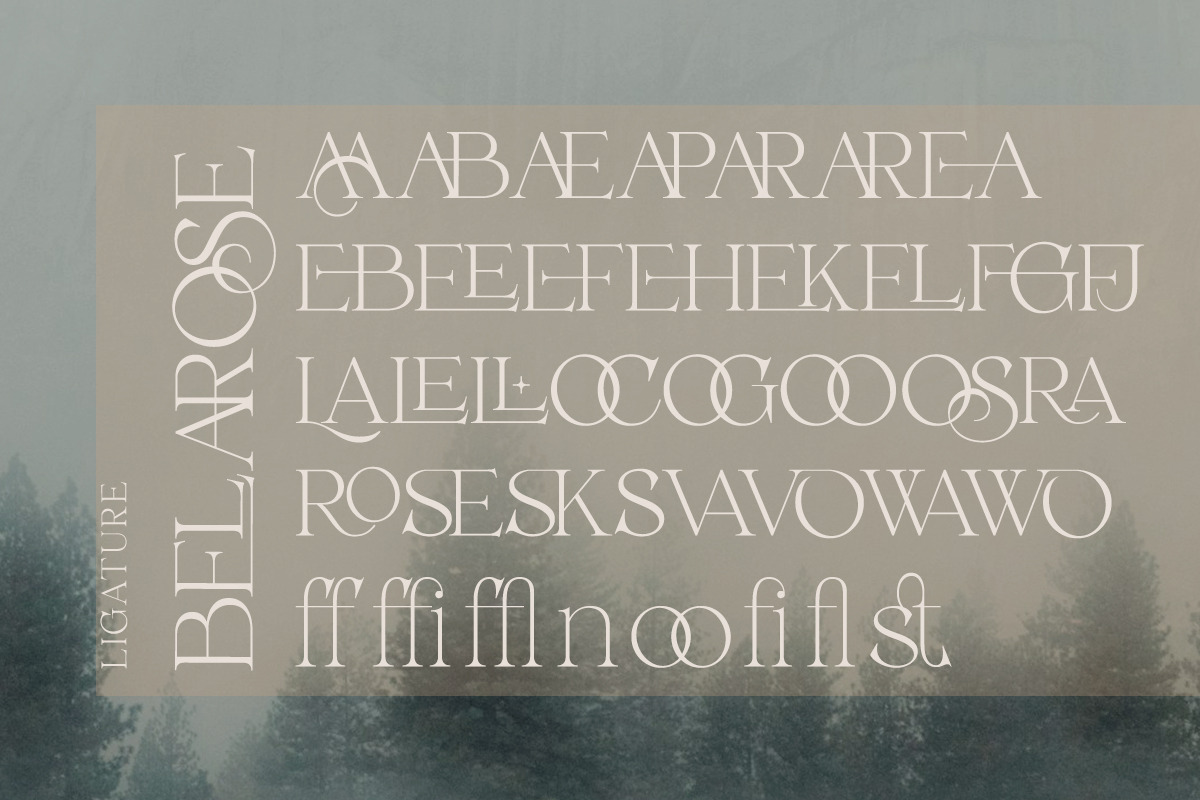 Belarose - Modern Elegant Serif, a Serif Font by Qweera Studio (Photo 9 of 12)