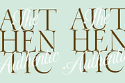 Madison Sauvage - Font Duo, a Script Font by Jolicia Type (Thumbnail 11 of 15)