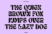 TAN - NIMBUS, a Font by TanType (Thumbnail 8 of 20)