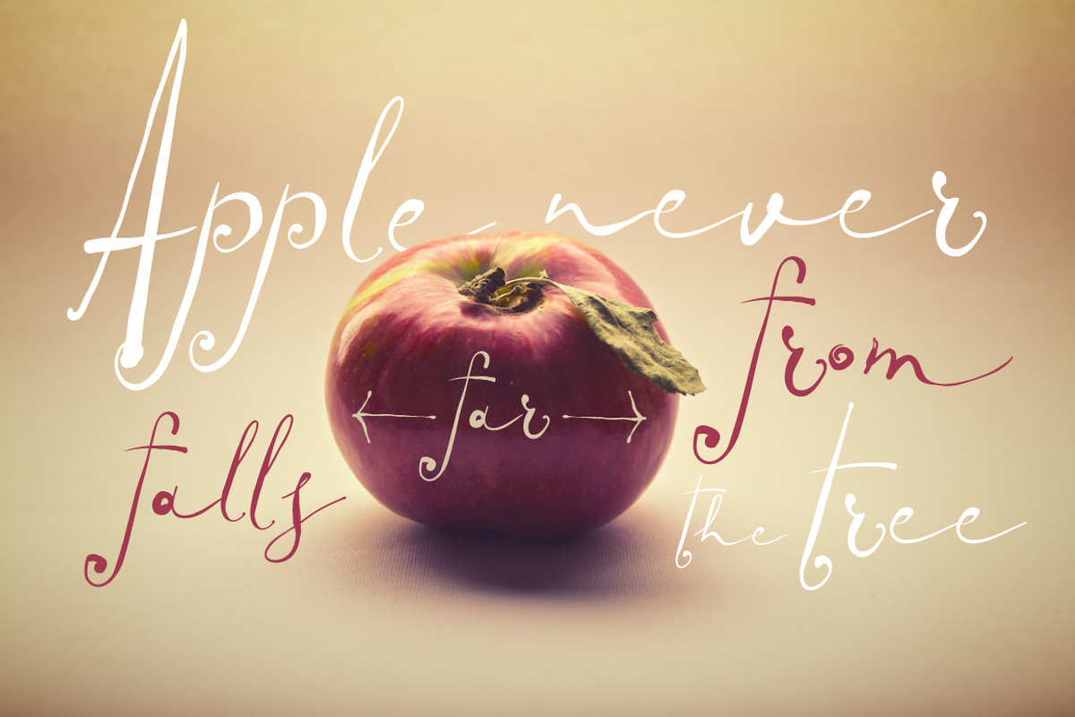 Tropical script + Paramaribo font preview 4