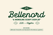 Bellenord – Monoline Script Display, a Script Font by Drizy (Thumbnail 1 of 10)