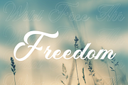 Quismo Script Font, a Script Font by Creative Foundry (Thumbnail 3 of 8)