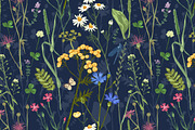 Meadow herbs and flowers, a Decorative Illustration by handsketched (Thumbnail 3 of 7)