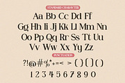 Domary - Modern Elegant Luxury Serif, a Serif Font by Qweera Studio (Thumbnail 12 of 12)