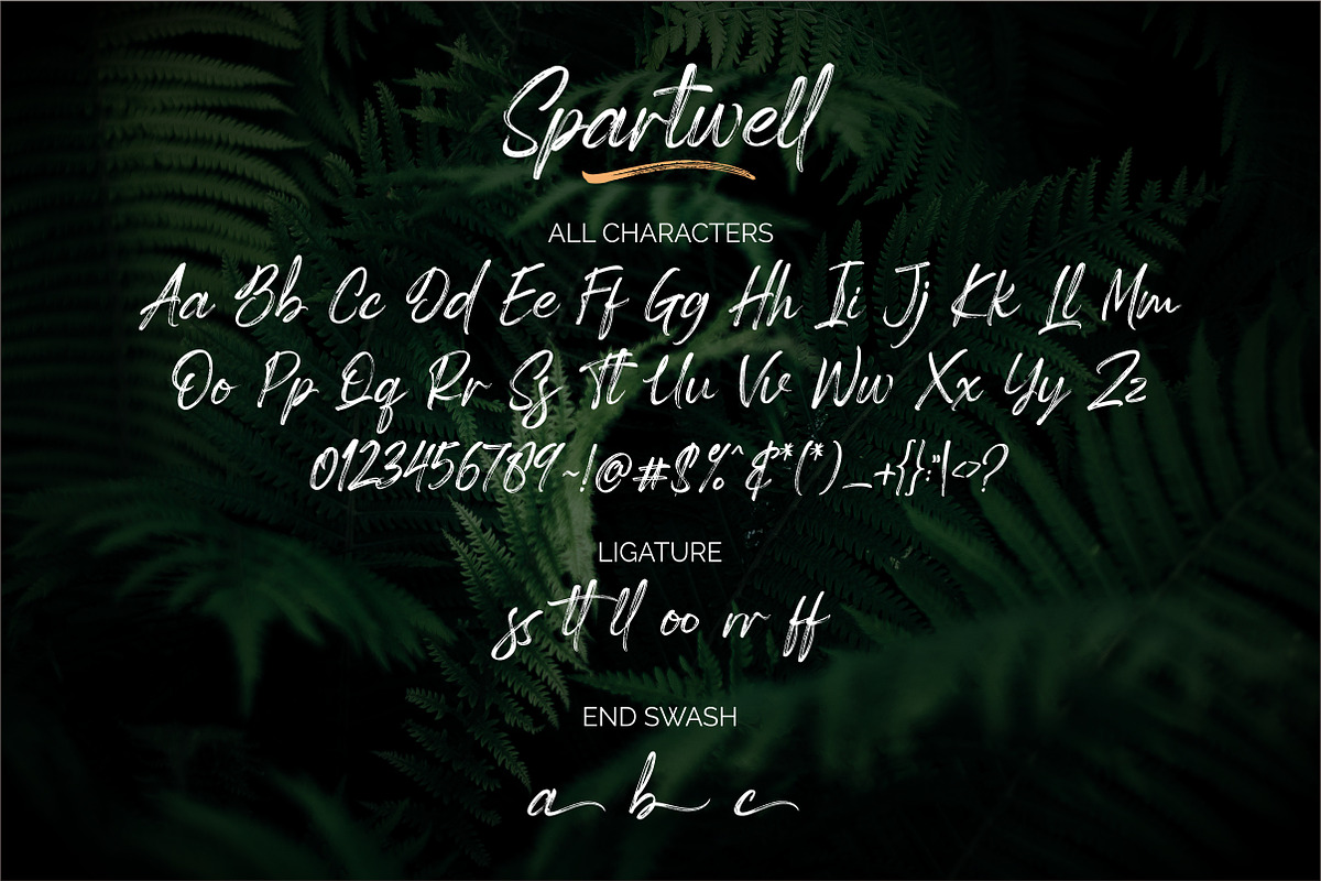 Spartwell |HANDWRITTEN BRUSH|, a Script Font by ErgibiStudio (Photo 11 of 12)