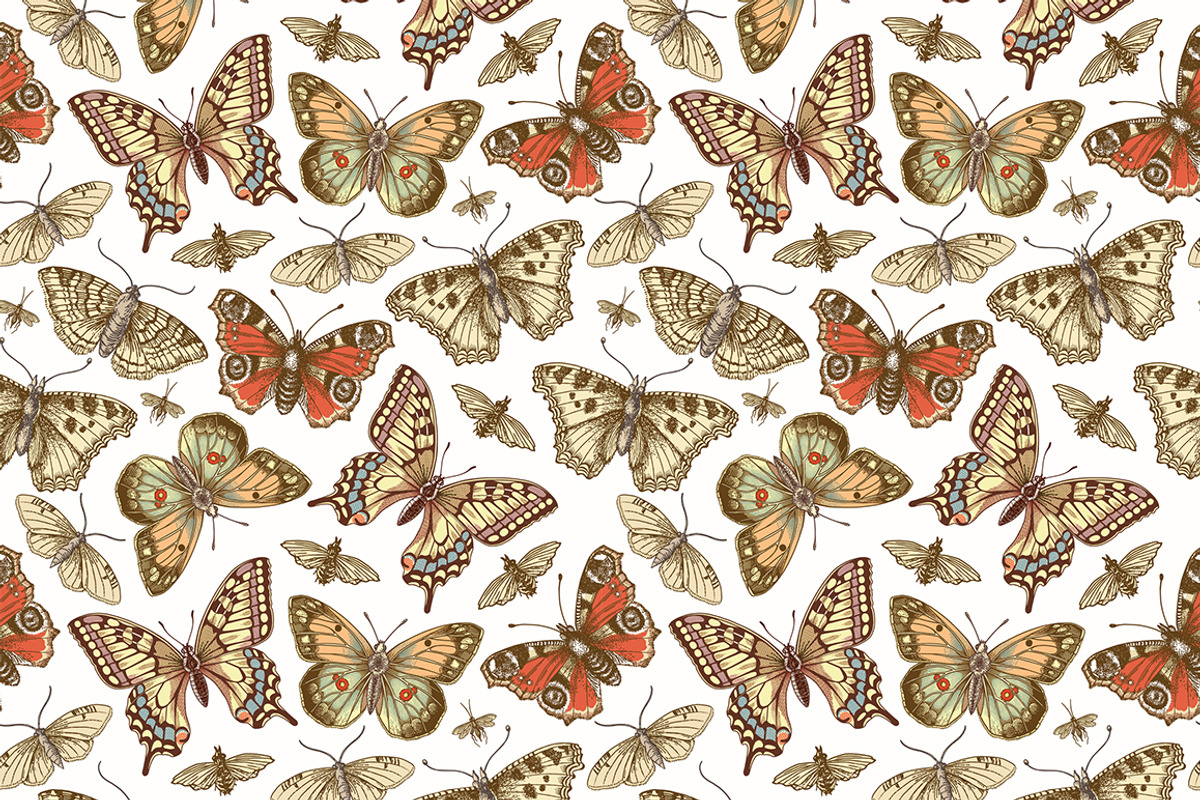 Seamless Butterflies Moth insects, a Pattern Graphic by Vintage (Photo 5 of 13)