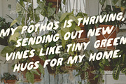 Pothos Fonts, a Sans Serif Font by Chelsea Burkett (Thumbnail 4 of 8)