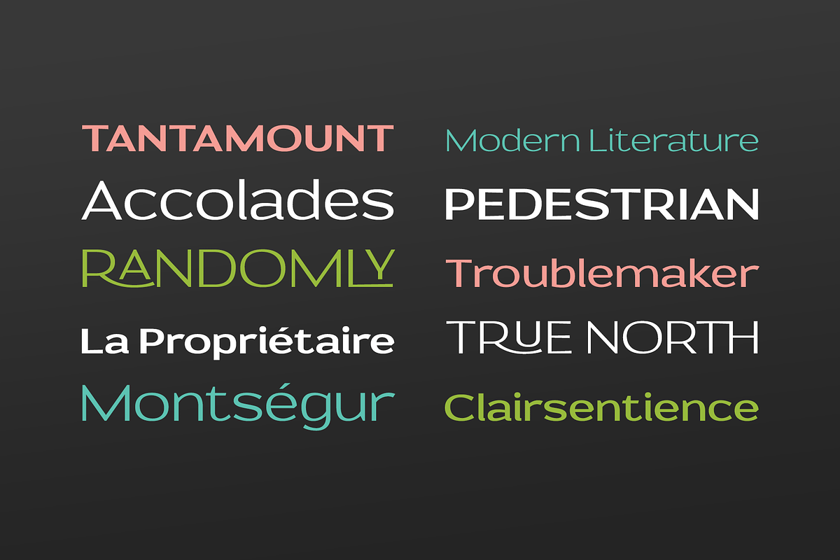 Prose Sans | Sans Serif Font Family, a Sans Serif Font by Ayca Atalay (Photo 3 of 11)