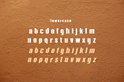 Terracota, a Sans Serif Font by almazstudio (Thumbnail 9 of 10)