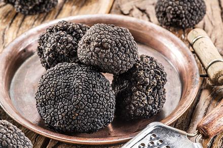 Black truffles on the plate featuring black, french, and italian, a Food & Drink Photo by Volff