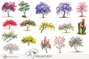 100 watercolor floral trees clip art, a Seasonal Illustration by Poppy Lane Studio (Thumbnail 10 of 12)