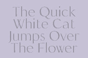 CS Coster Ascii, a Sans Serif Font by Craft Supply Co. (Thumbnail 2 of 8)