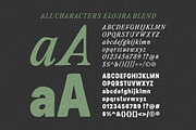 Eloura Blend - Font Duo, a Serif Font by ErgibiStudio (Thumbnail 9 of 10)