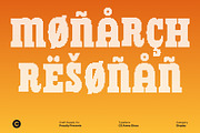 CS Areno Disco, a Slab Serif Font by Craft Supply Co. (Thumbnail 7 of 8)