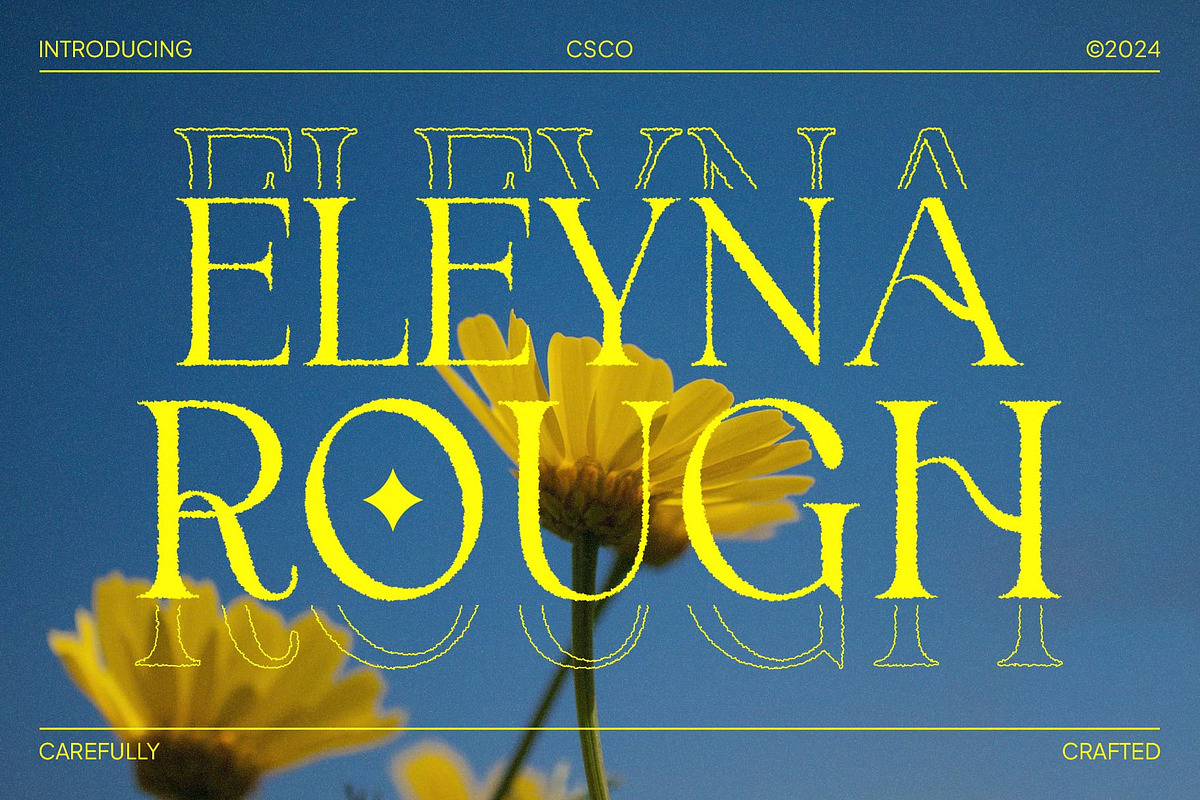 Eleyna Rough, a Serif Font by Craft Supply Co. (Photo 1 of 8)