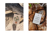 Flyer/Postcard Tropical Mockups, a Print Template by Dikarte.Store (Thumbnail 4 of 14)