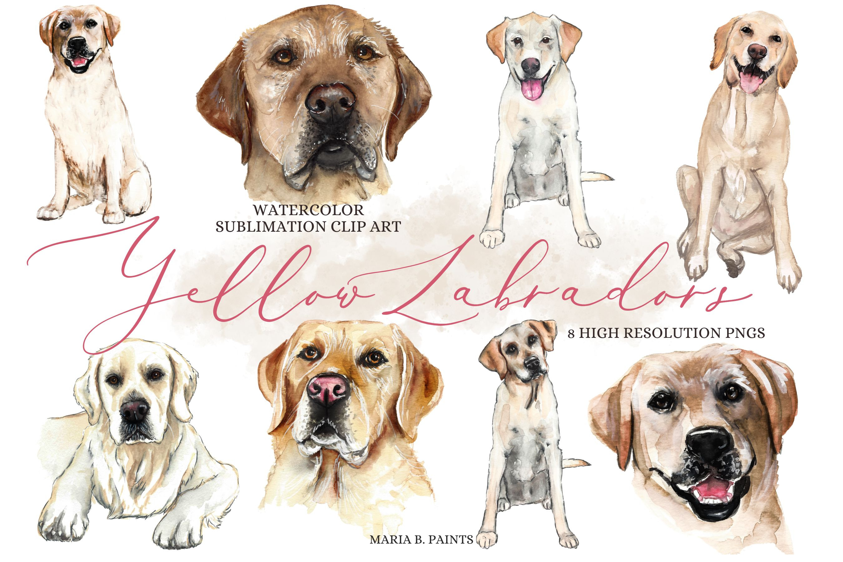 Yellow Labrador Dogs Clipart, an Animal Illustration by Maria B. Paints