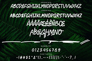 HONEKE Monoline Brush Font, a Handwritten Font by NTC Graphic (Thumbnail 8 of 9)