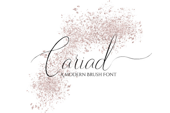 Cariad - A modern brush script preview 6