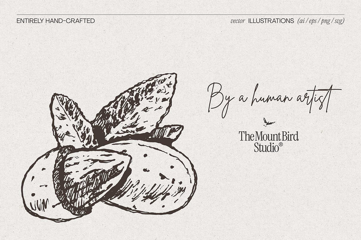 Botanical Herb Ingredients, a Healthcare Illustration by TheMountBirdStudio (Photo 3 of 10)