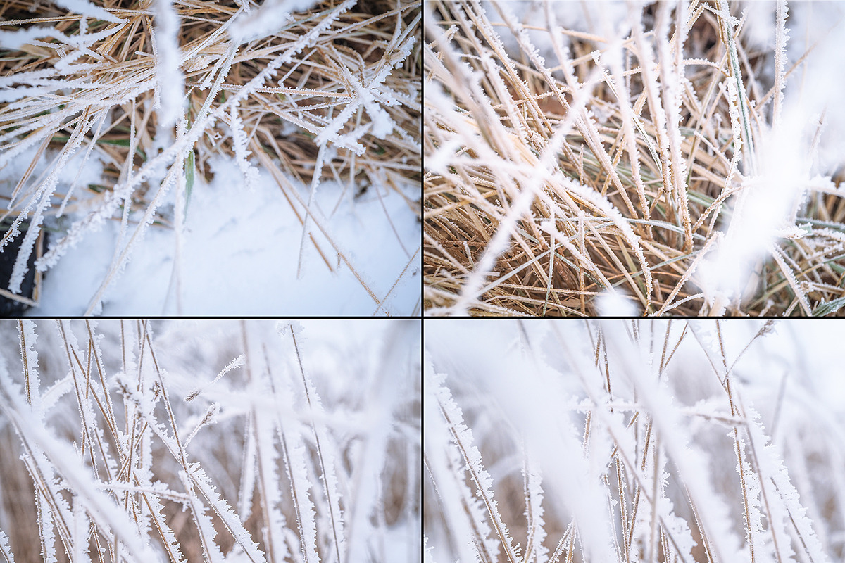 Frozen morning bundle /77pics, a Background Graphic by tydla (Photo 6 of 12)