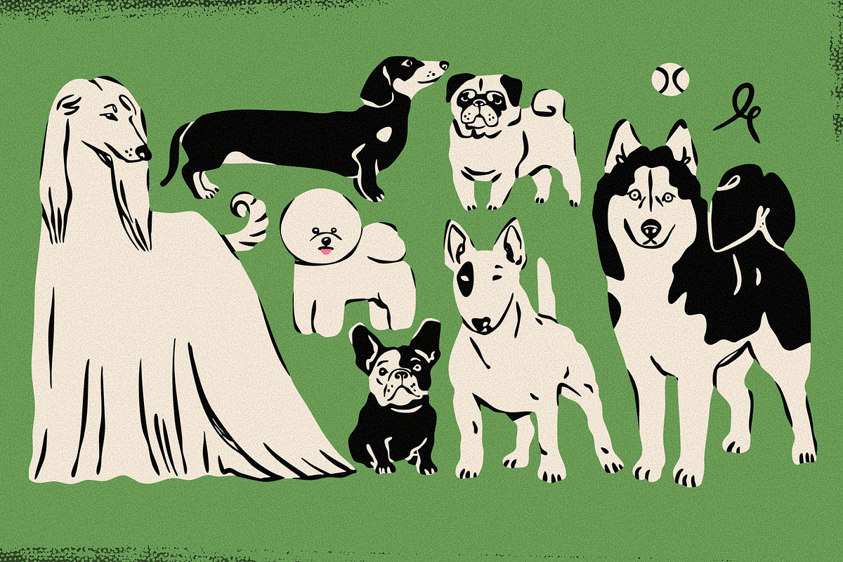Fetch! Dogs collection, an Animal Illustration by Twisted Tail (Photo 4 of 11)