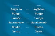 Abigail Nagita - Display Serif Font, a Serif Font by Artchitype Studio (Thumbnail 14 of 16)