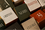 Sefina Brandish - Beauty Luxury Font, a Serif Font by Font Liner (Thumbnail 3 of 10)