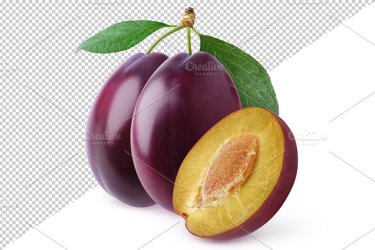 Cut plumes with stems and leaves preview 3