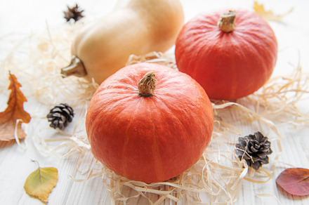 Autumn decorative pumpkins with fall leaves on wooden background, a Food & Drink Photo by Olena Rudo