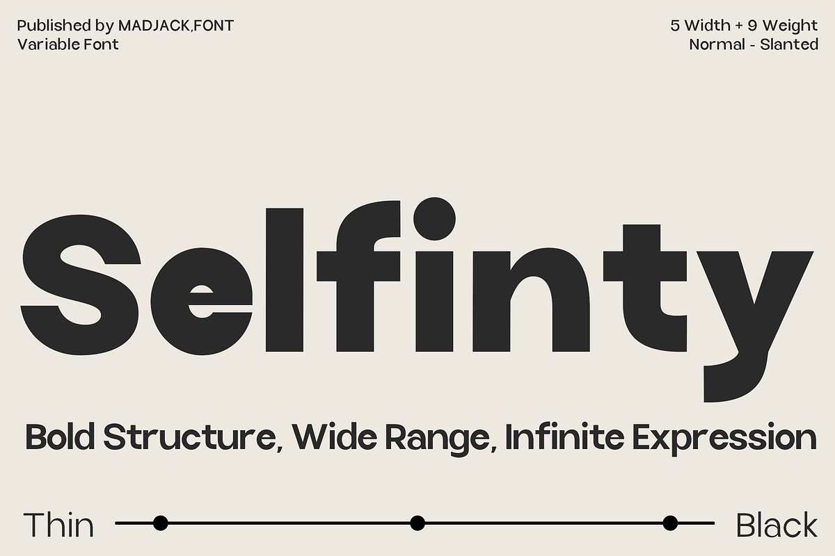Selfinty Sans - 90 fonts + variable., a Sans Serif Font by Madjack.font (Photo 1 of 15)