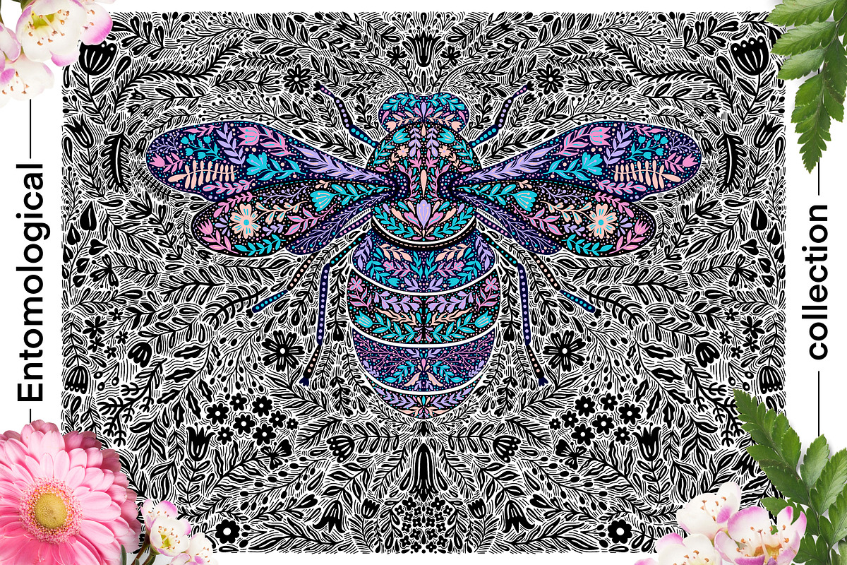 Entomological collection insect, a Decorative Illustration by Moonflora (Photo 10 of 13)