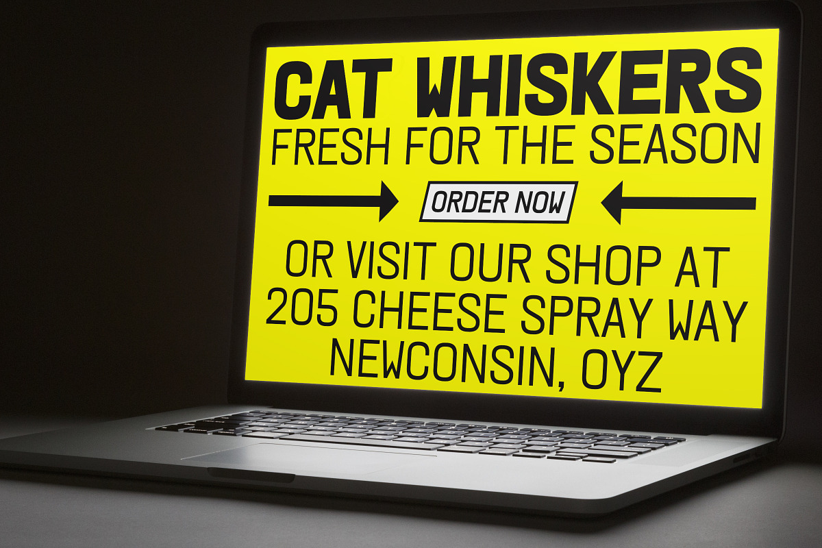 KWINC Grotesk, a Sans Serif Font by Sudtipos (Photo 4 of 11)