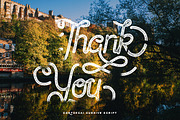 Sortdecai Cursive Script and Bonus, a Script Font by Swistblnk Std. (Thumbnail 5 of 5)