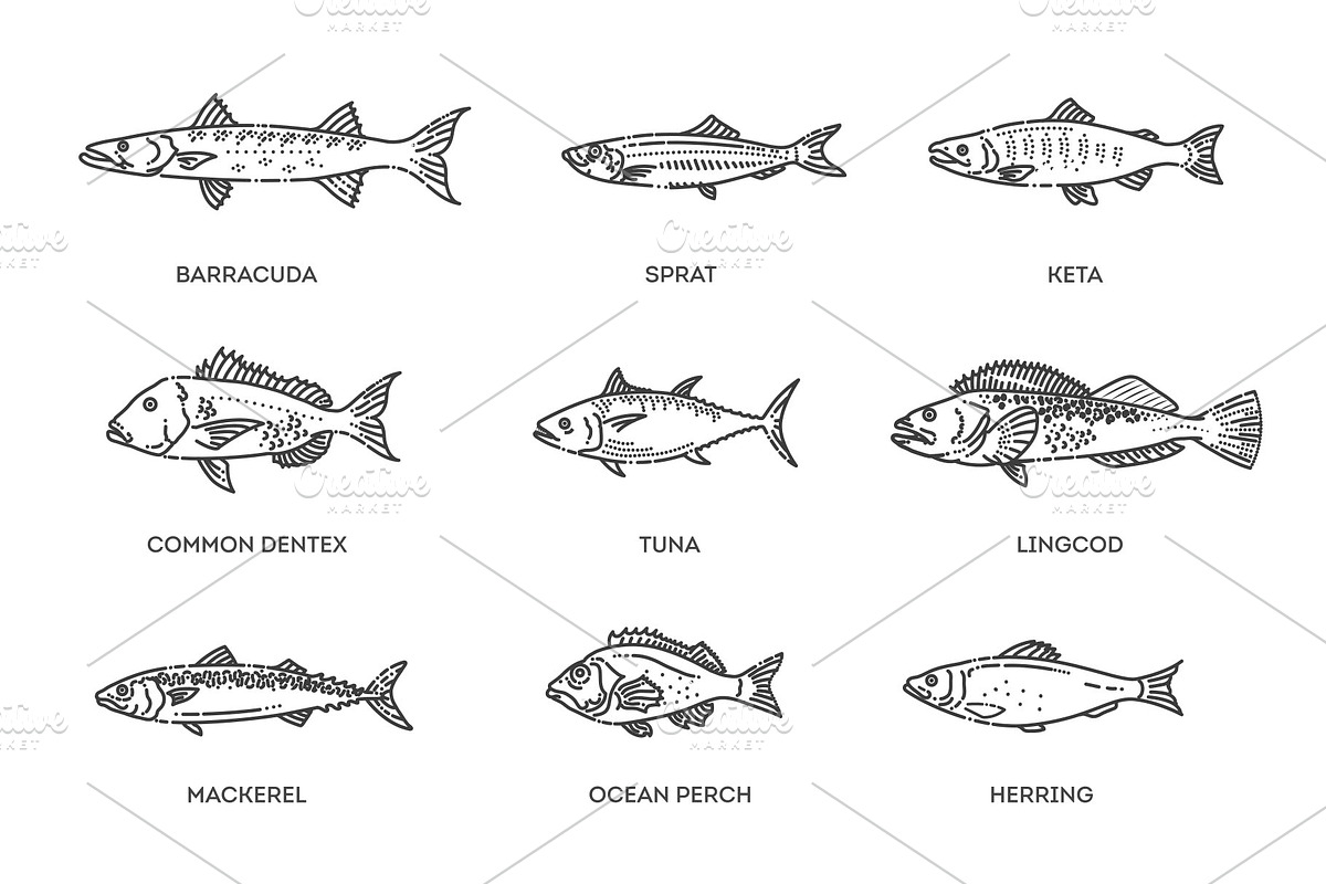 Saltwater fish set, an Animal Illustration by Tettygreen (Photo 2 of 3)