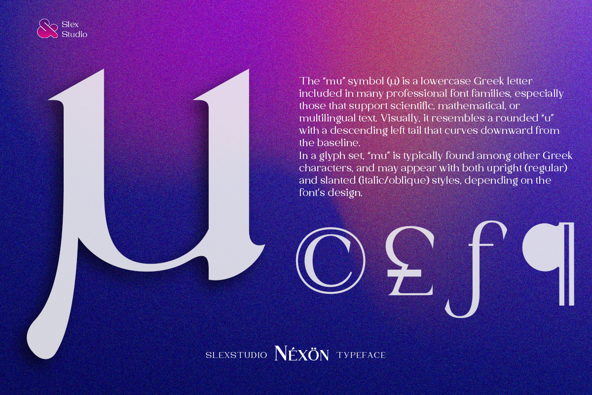 Nexon, a Serif Font by Slex Studio (Photo 7 of 10)